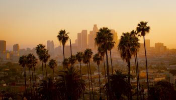 The image features a scenic view of a city skyline during sunset, with numerous palm trees in the foreground and tall buildings in the background, ending the sentence.